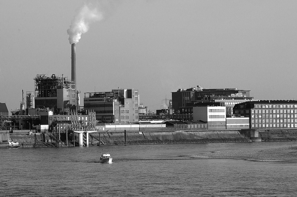 xDSC 0303a