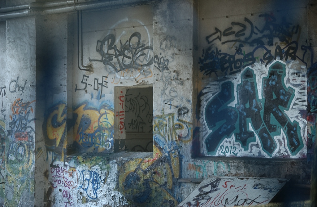 xDSC 0336