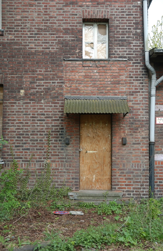 xDSC 0639