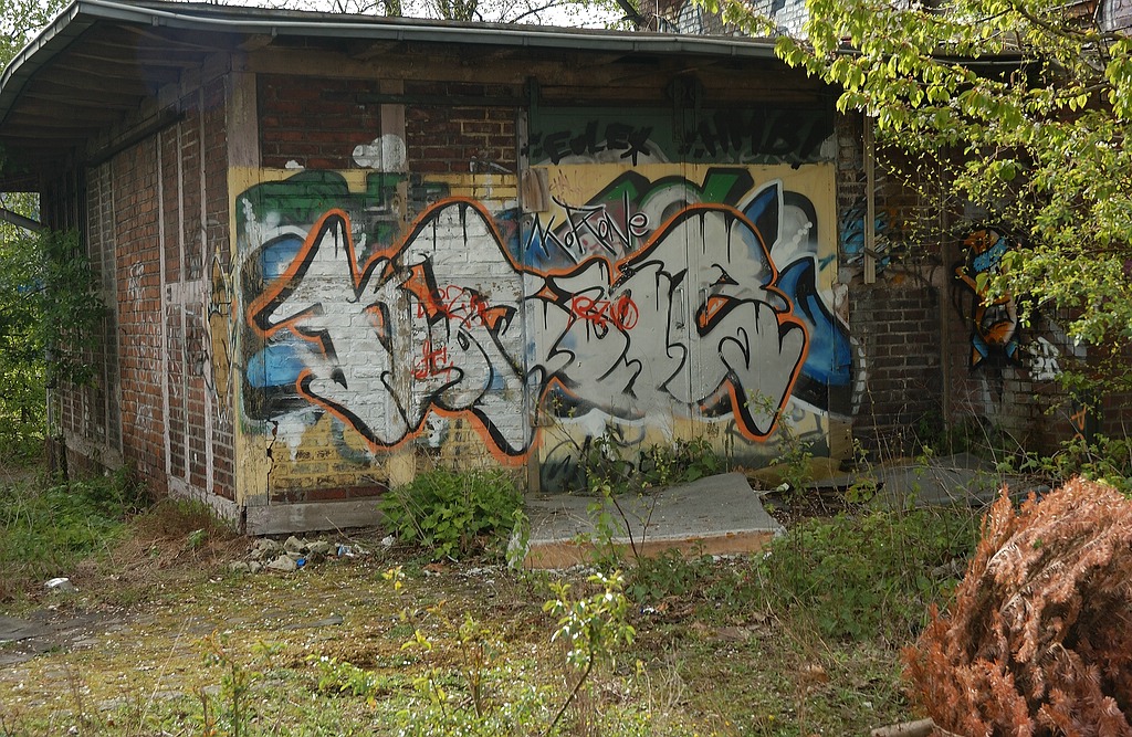 xDSC 0646