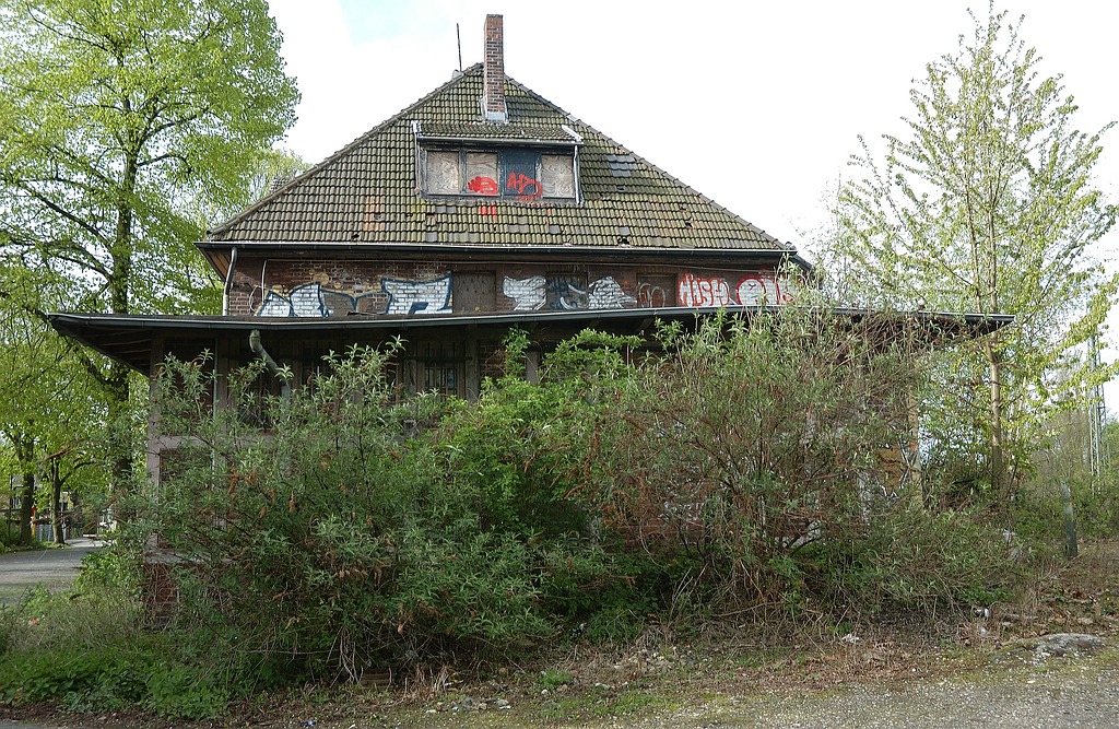 xDSC 0647
