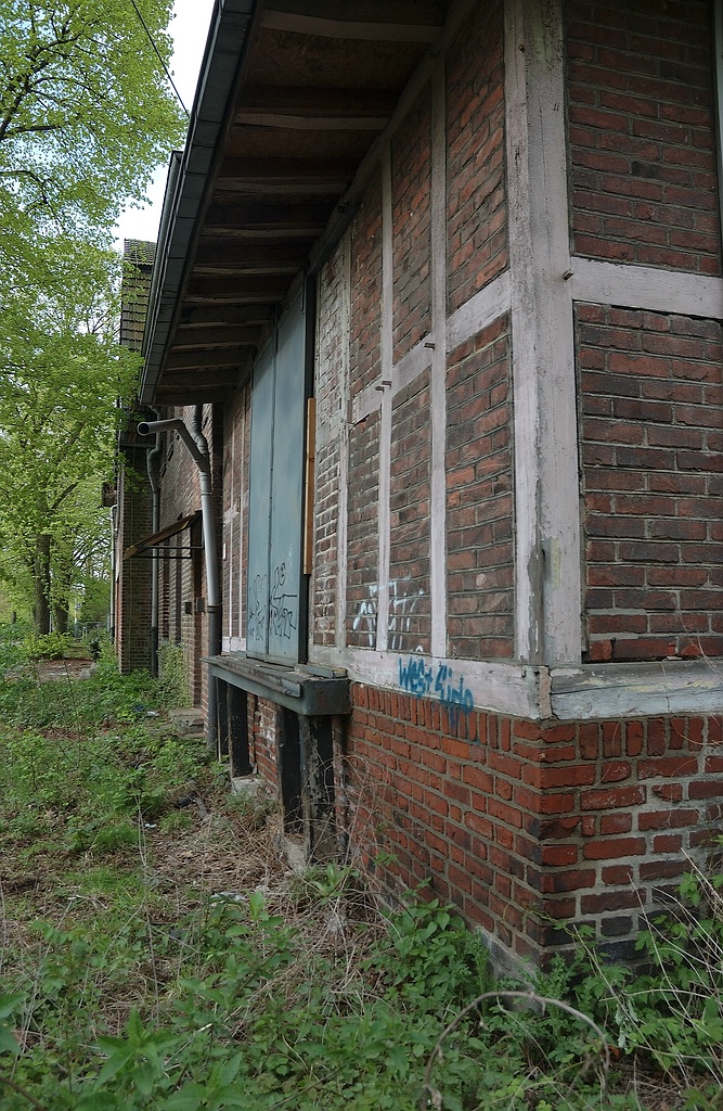 xDSC 0649