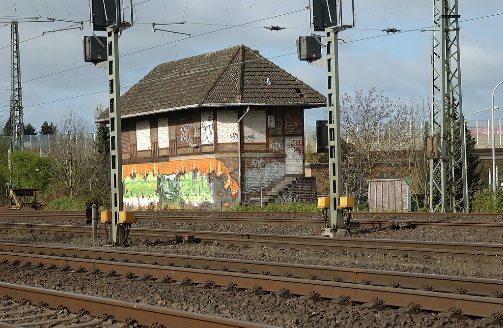 xDSC 0666