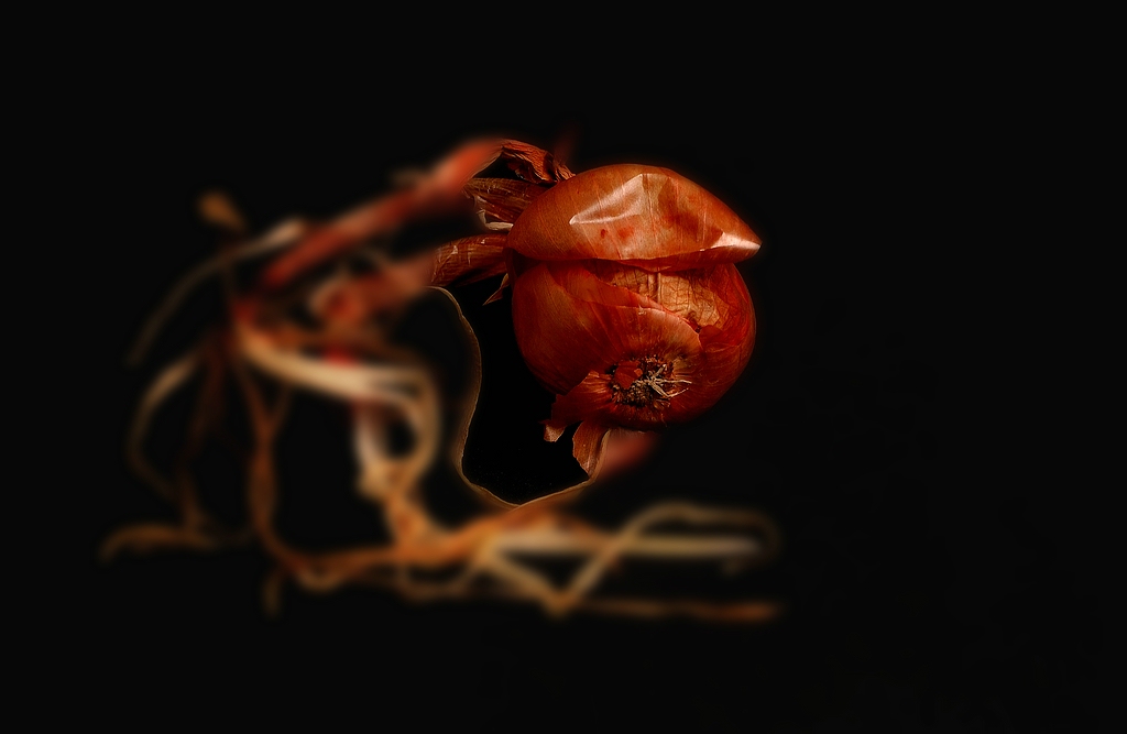 xDSC 0762D