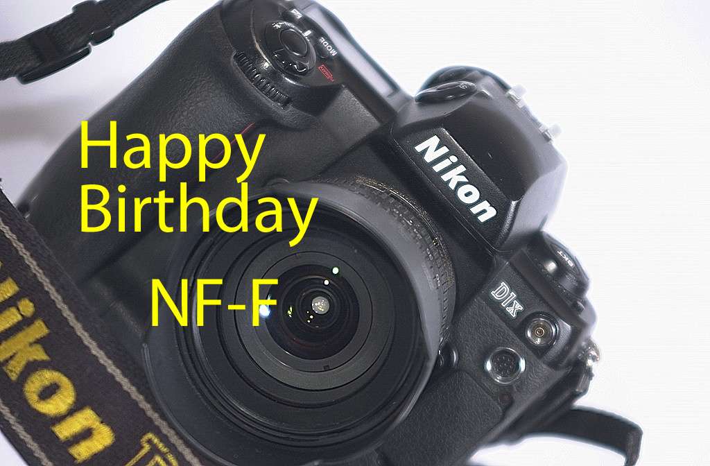 xDSC 0836NF F