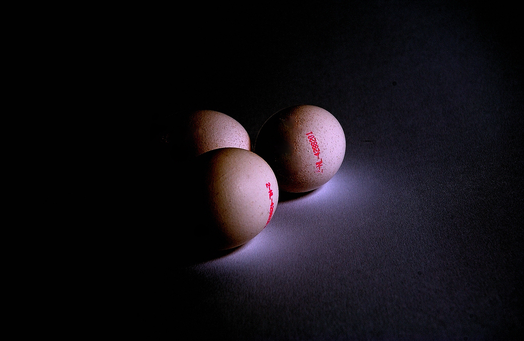 xDSC 0873