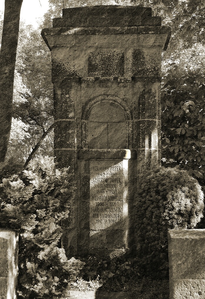 xDSC 1362 957 01