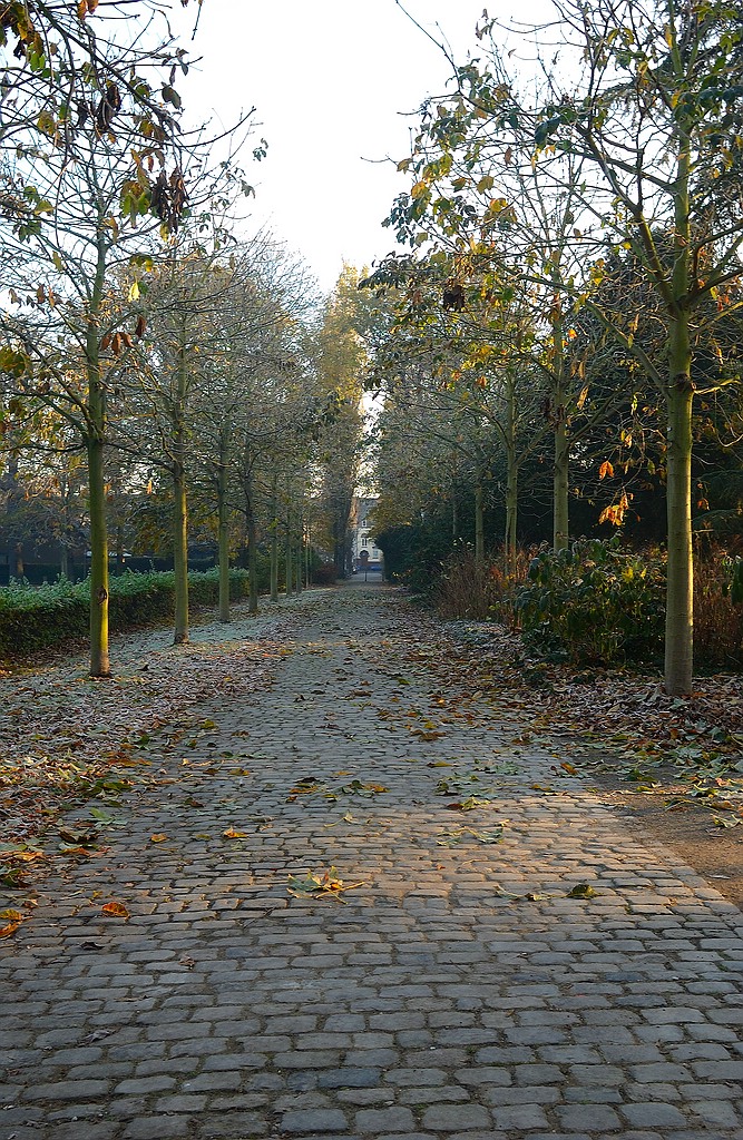 xDSC 2958 3643