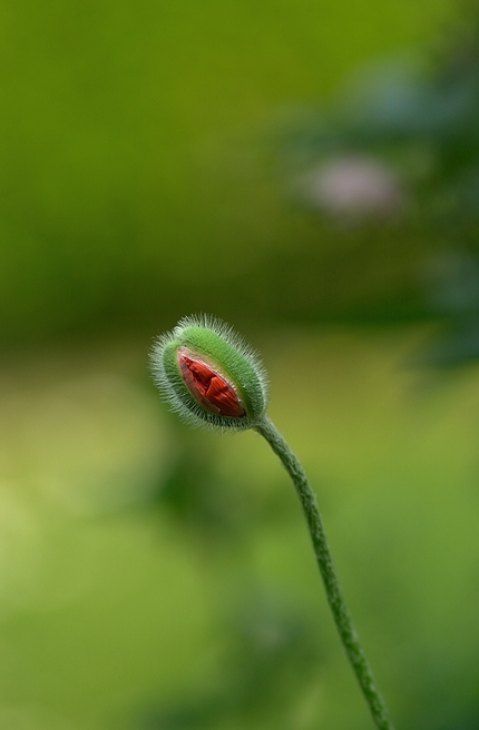 xDSC 6011 317