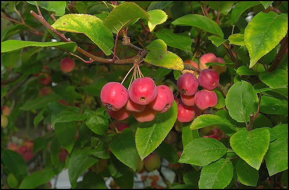 xDSC 7163 2956 01