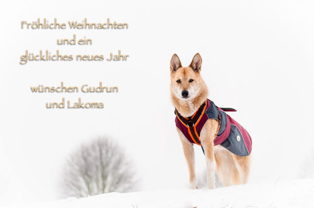 xmas arbeit