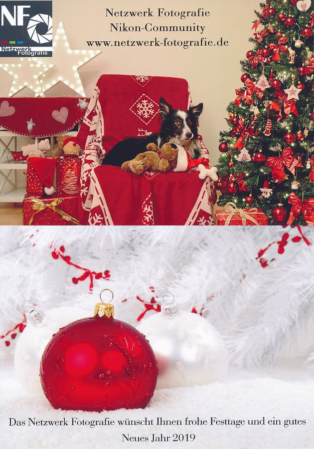 Xmas card 2018 final