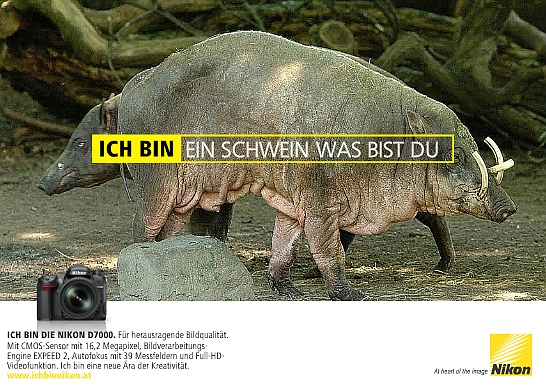 xschwein