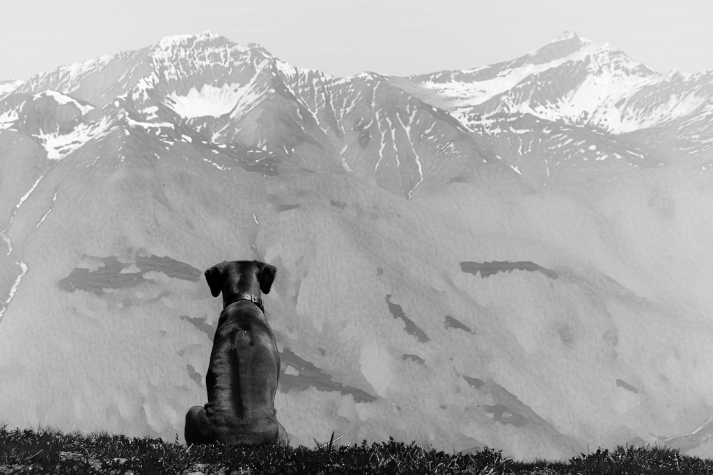 XT140573 Bearbeitet 2