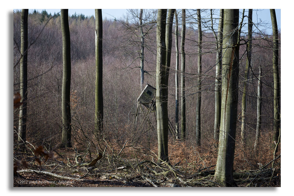Y72 0010 Deister März WEB