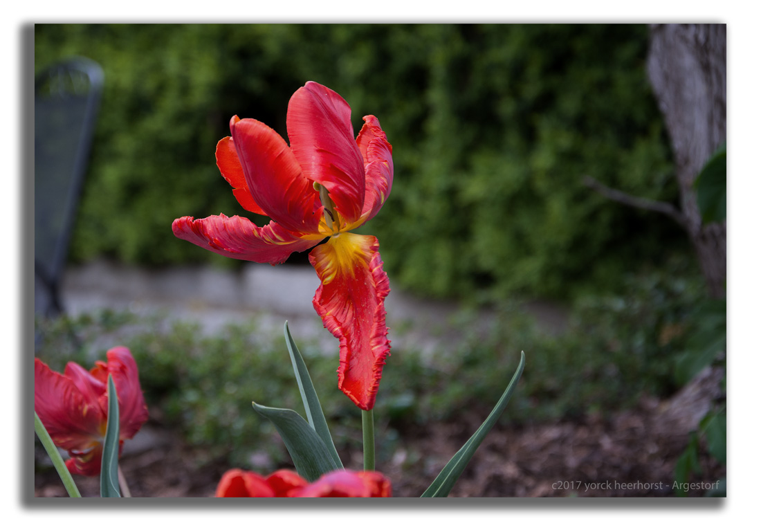 Y72 0303 WEB
