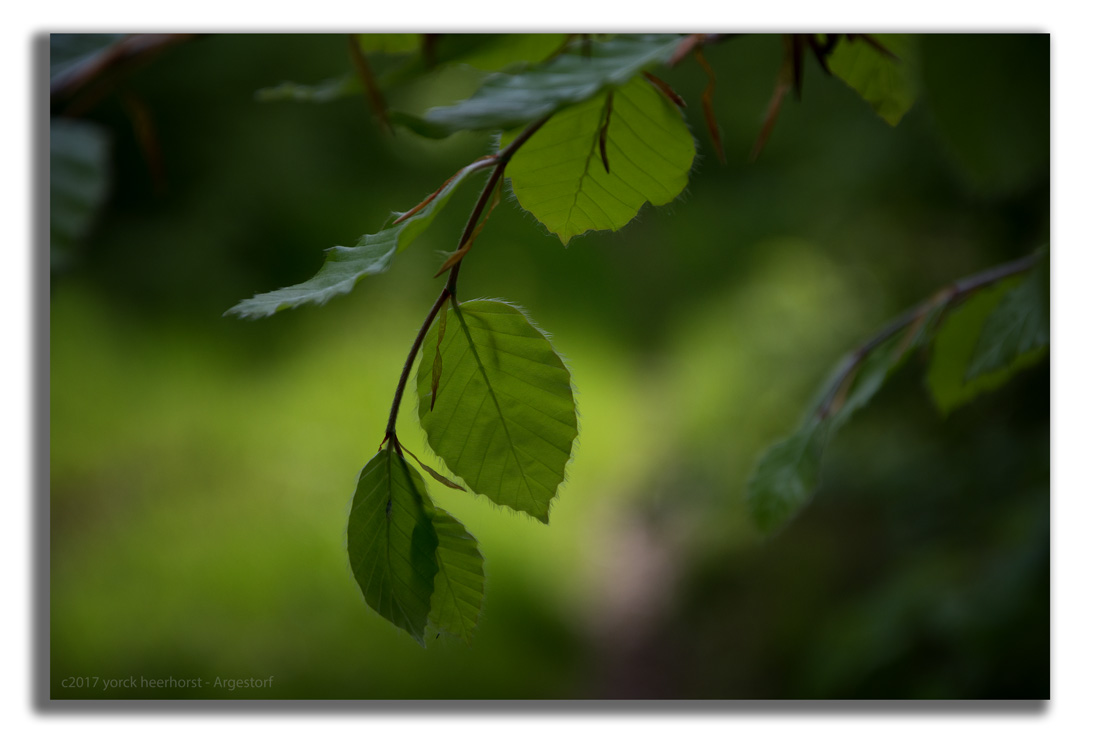 Y72 0330 WEB