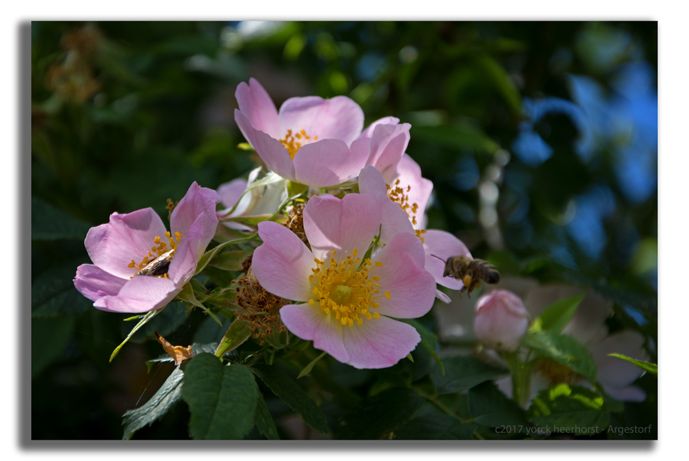 Y72 0728 WEB FORUM