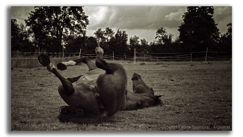 Y72 0934 WEB FORUM B&amp;W