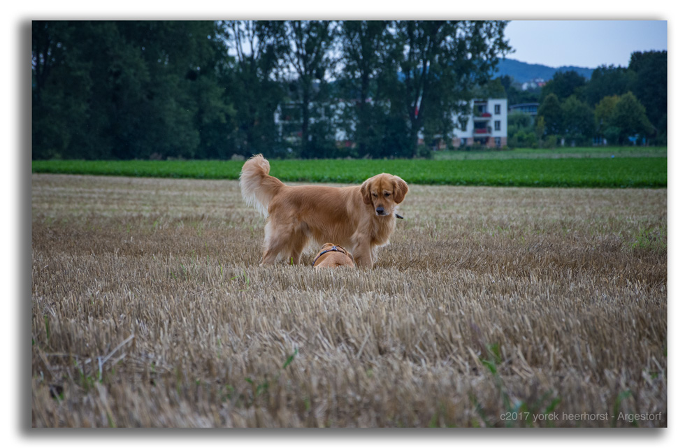 Y72 1239 WEB FORUM