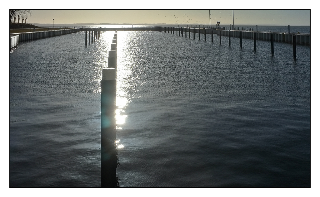yachthafen zinnowitz3