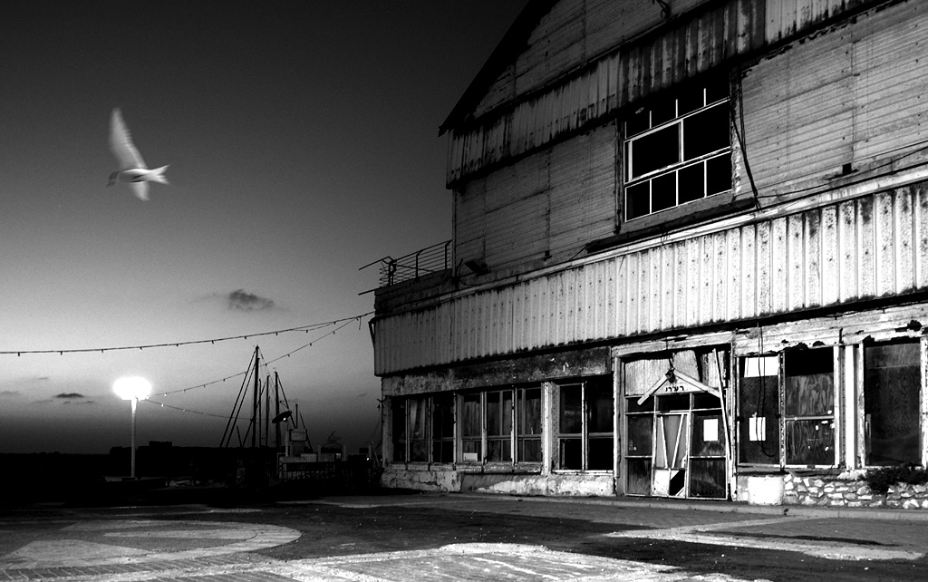 Yaffo Port4 web
