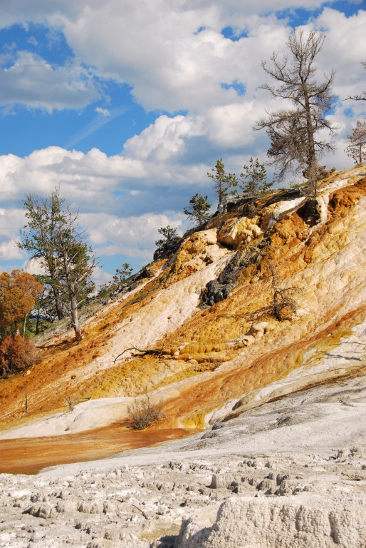 Yellow Stone