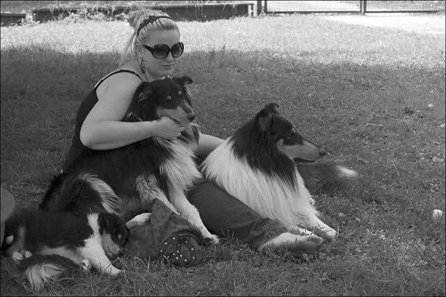 yvi hunde bw kl