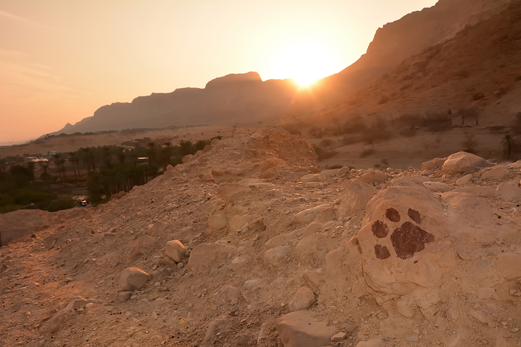 z deadsea1 313a sm