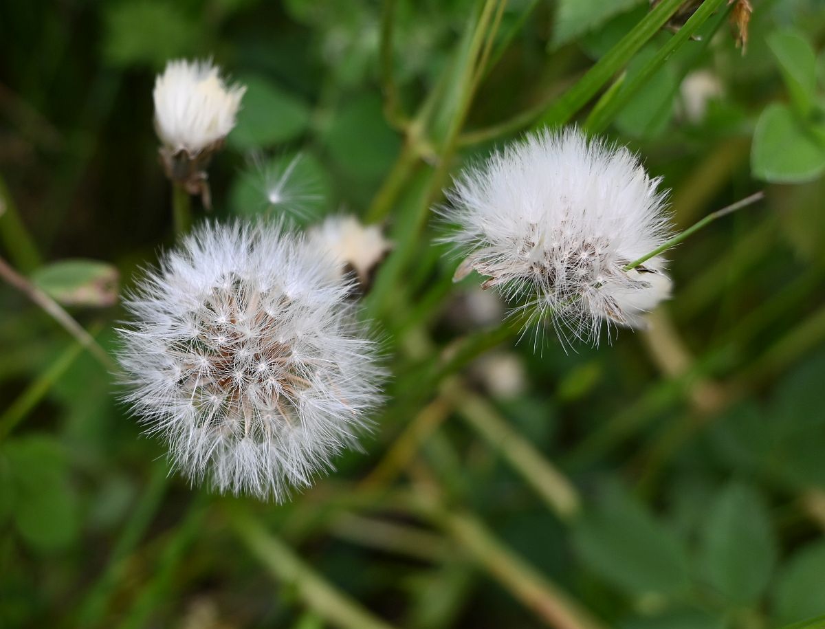 Z12-28_Test 1.jpg