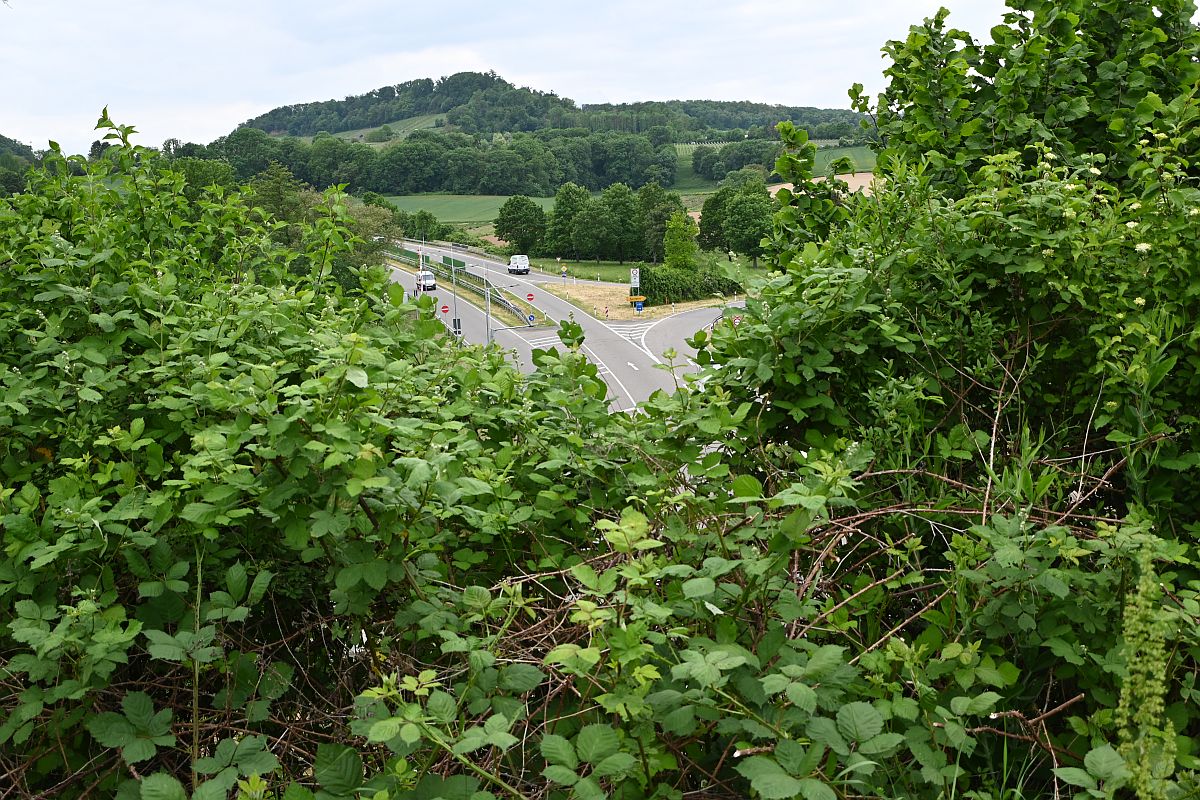 Z12-28_Test 4_28mm.jpg