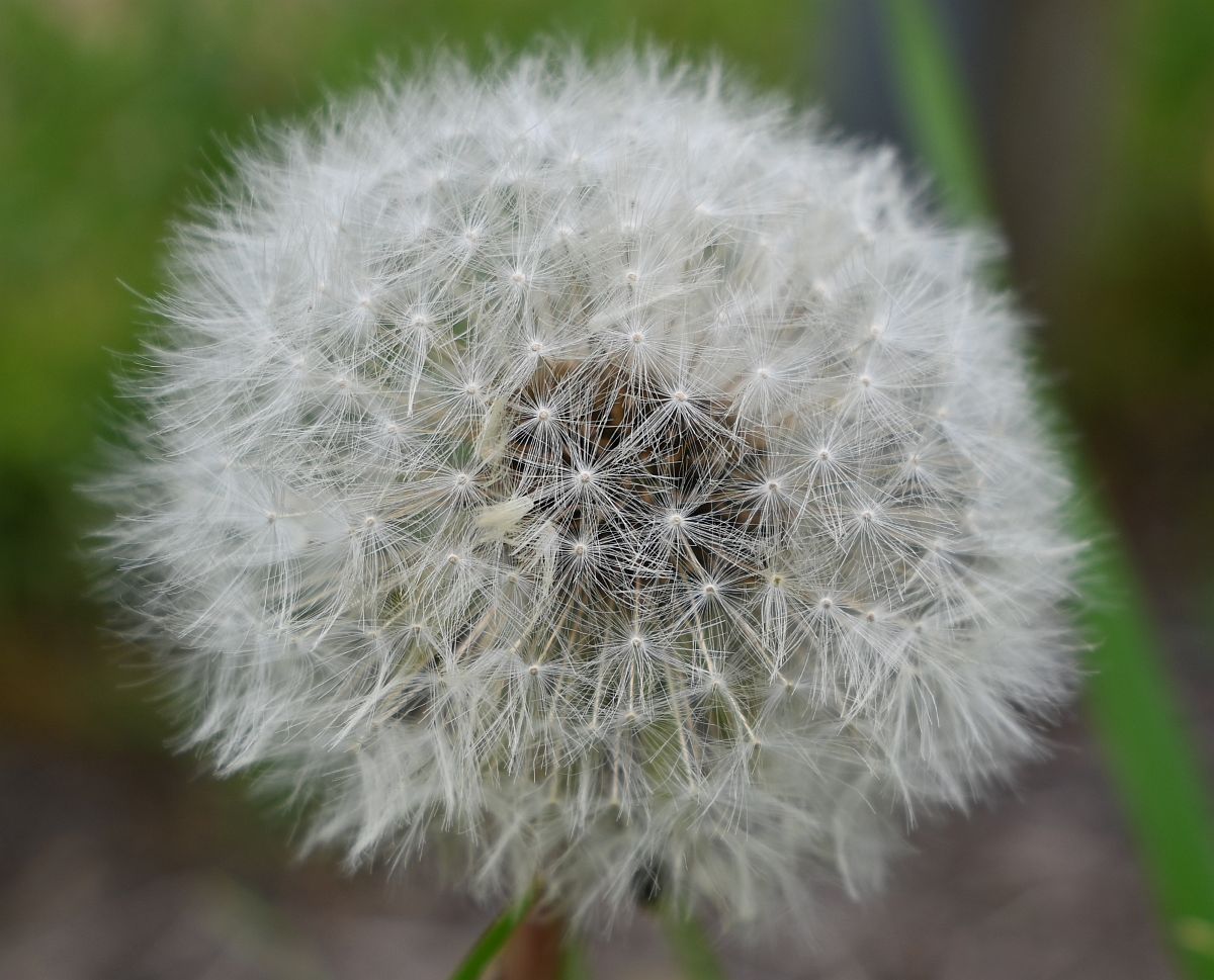 Z12-28_Test 7.jpg