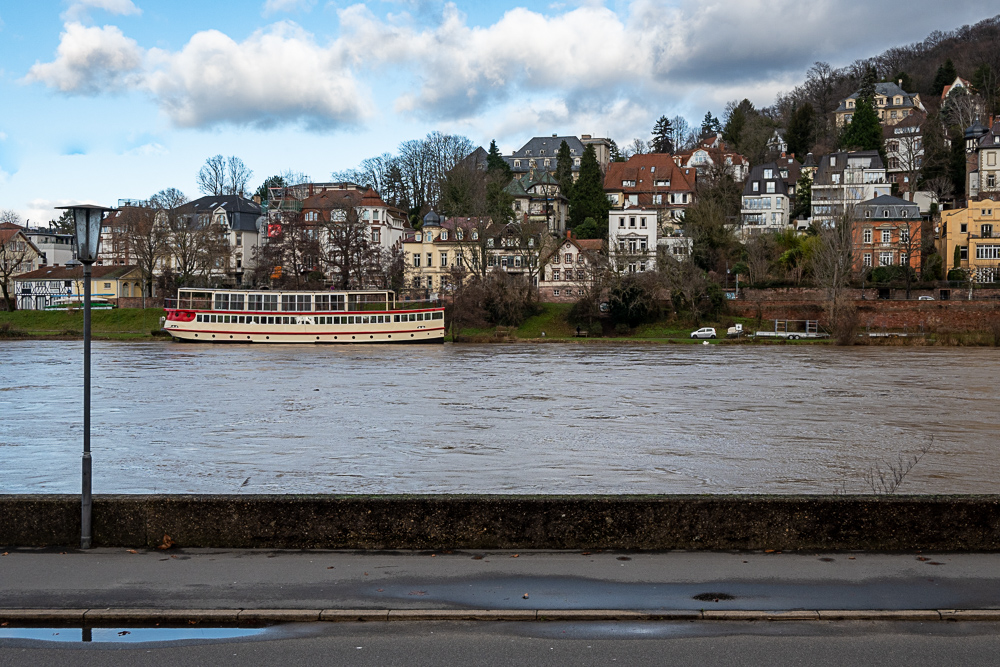 Z50_3456-2.jpg