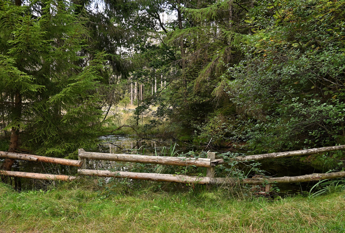 Z50_9272.JPG