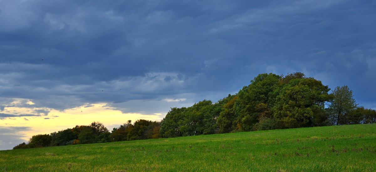 Z50_9674.JPG
