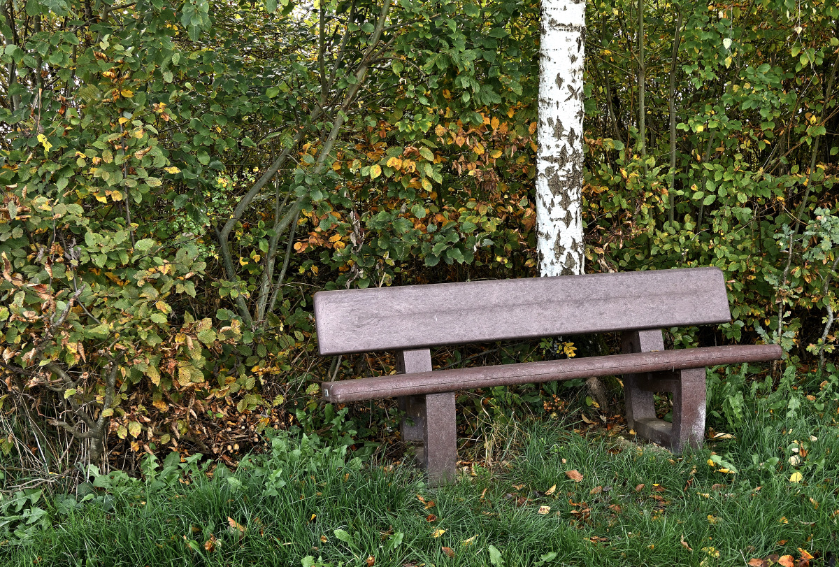 Z50_9867.JPG