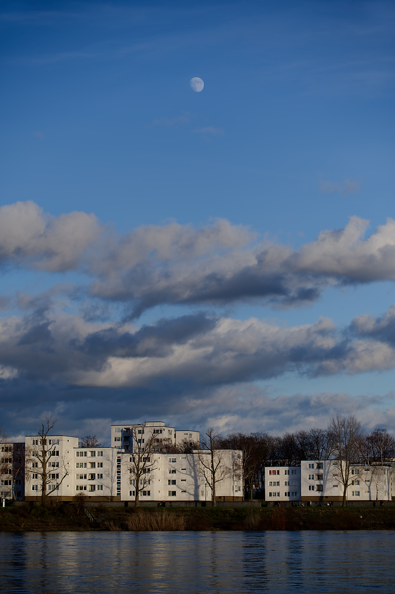 Z62_0118-1.jpg