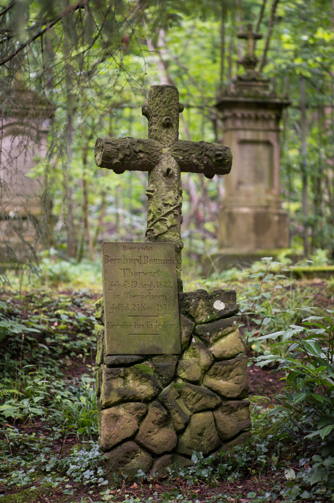 Z62_0646.jpg