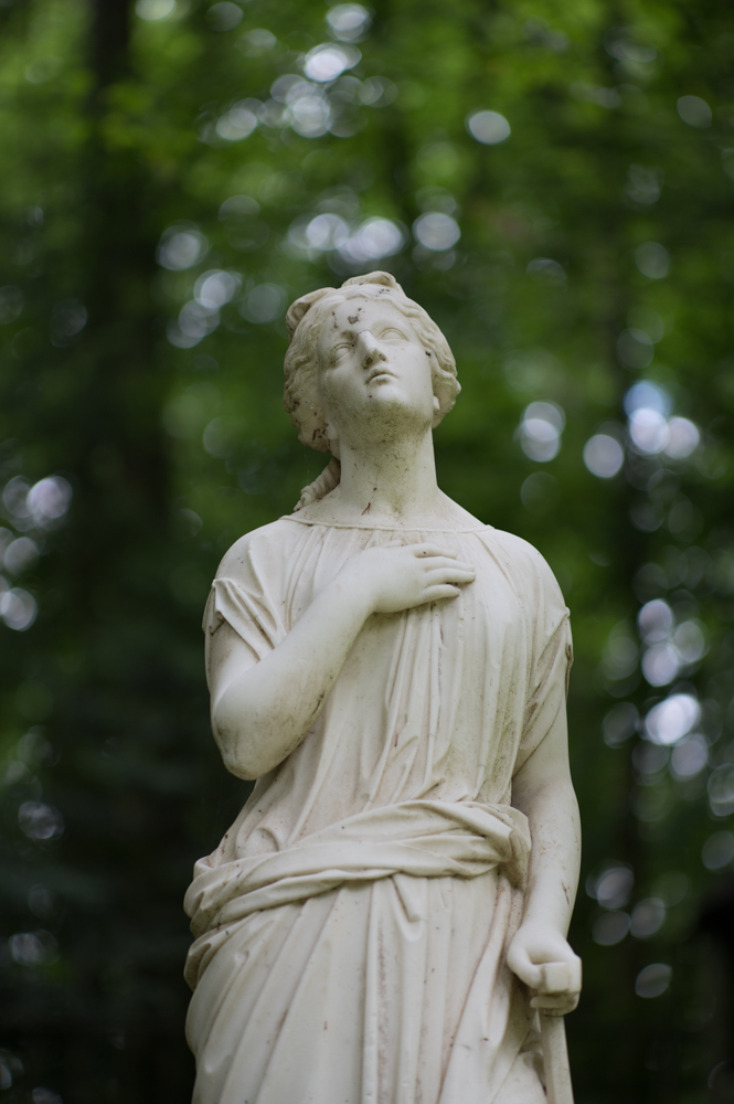 Z62_0649.jpg