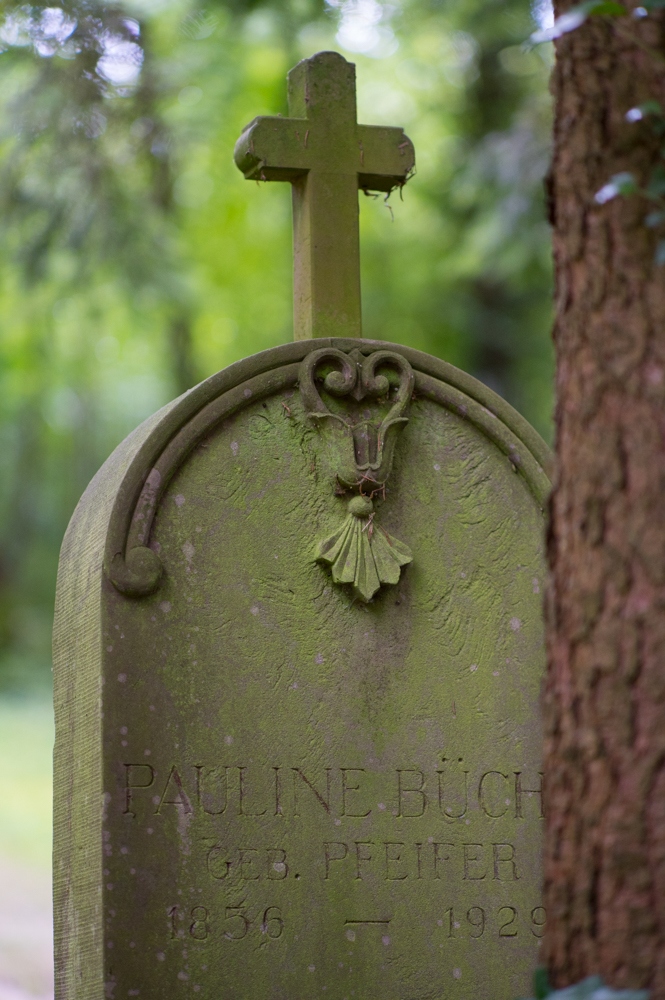 Z62_0672.jpg