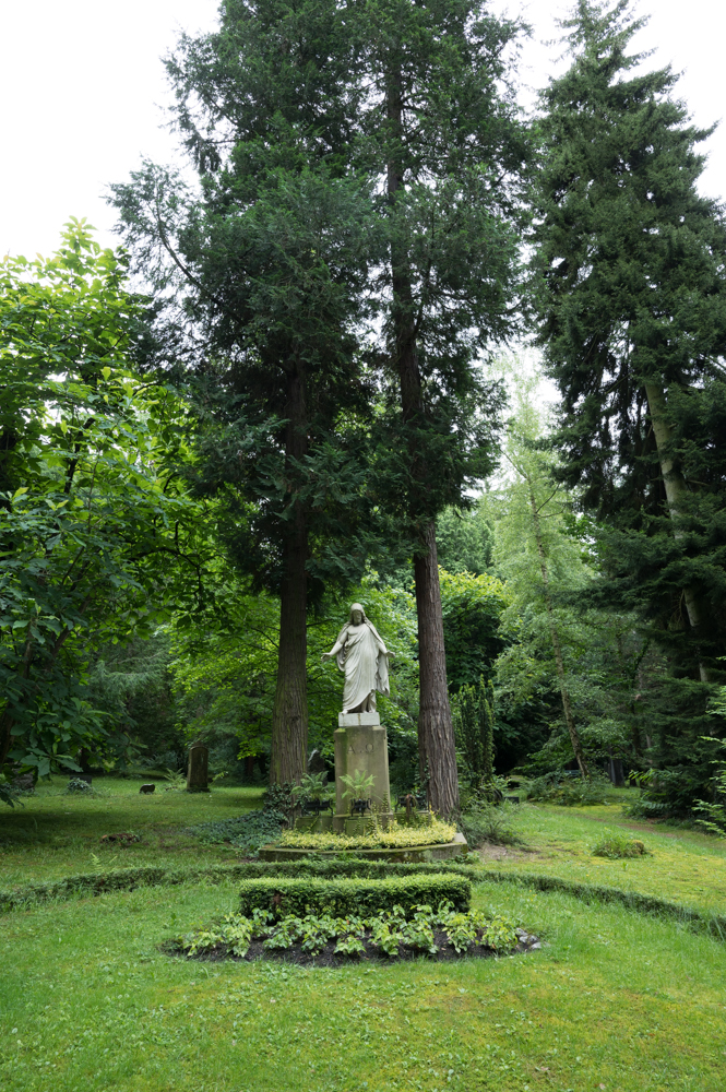Z62_0688.jpg