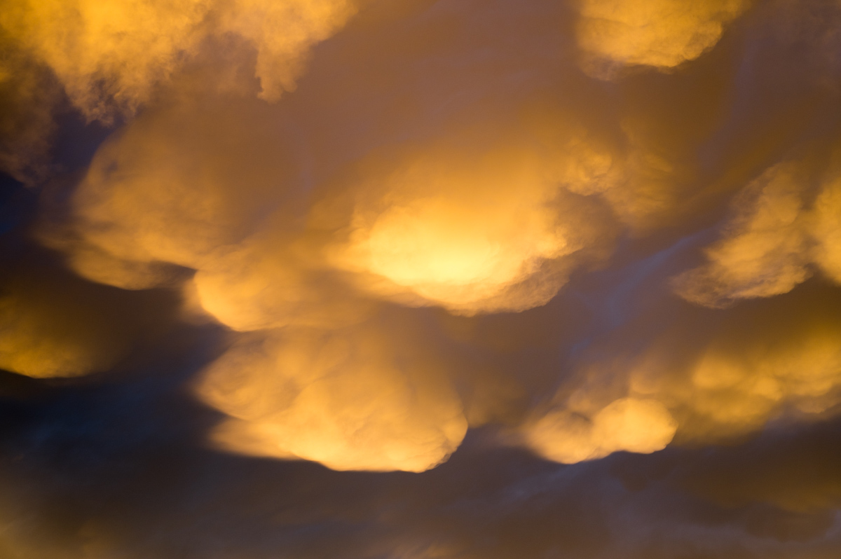 Z62_1216.jpg