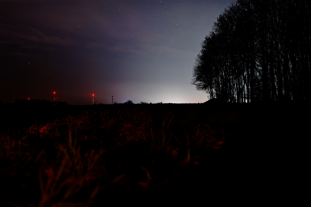 Z62_3140.jpg