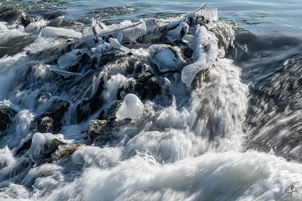 Z6H_0057.jpg