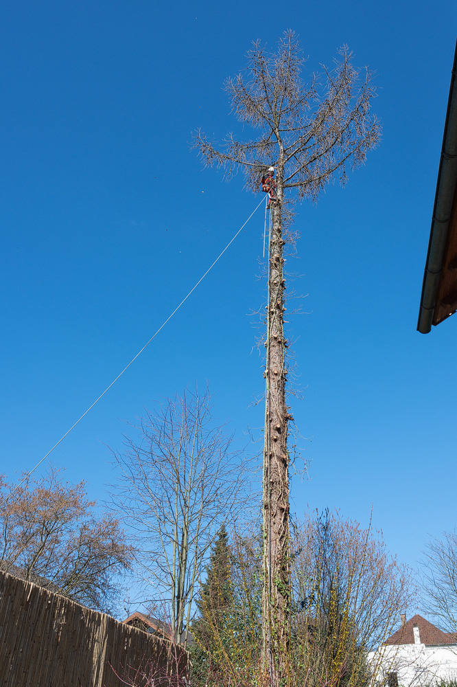 Z6H_0103.jpg