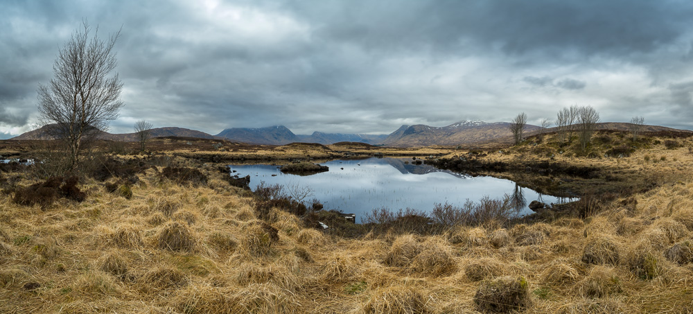 Z70_5482-Pano.jpg