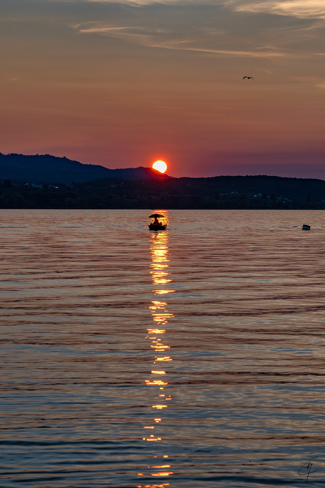 Z7H_0697.jpg
