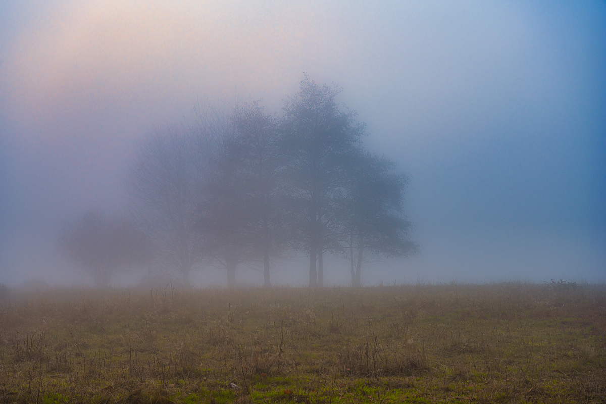 Z7H_085.jpg