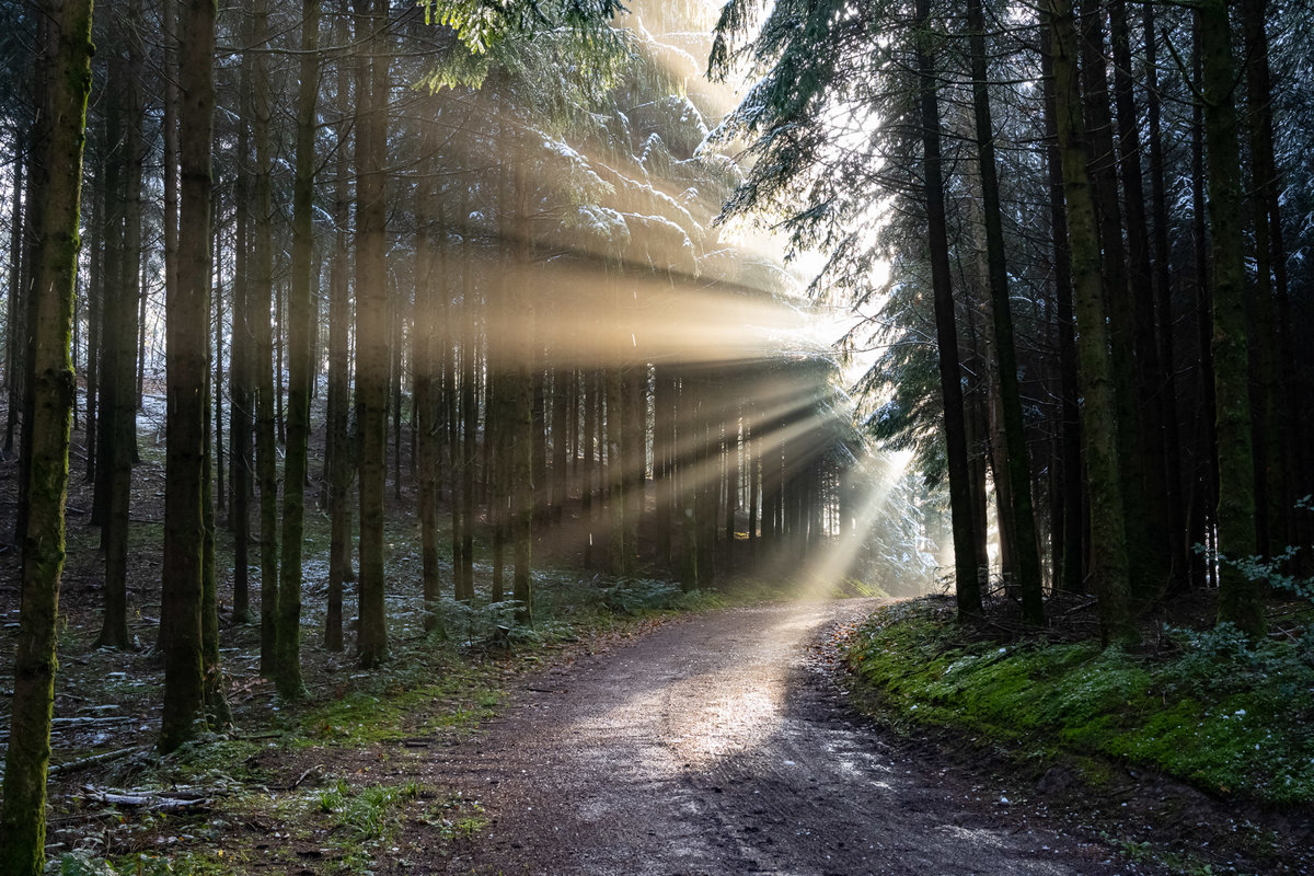 Z7H_0920.jpg