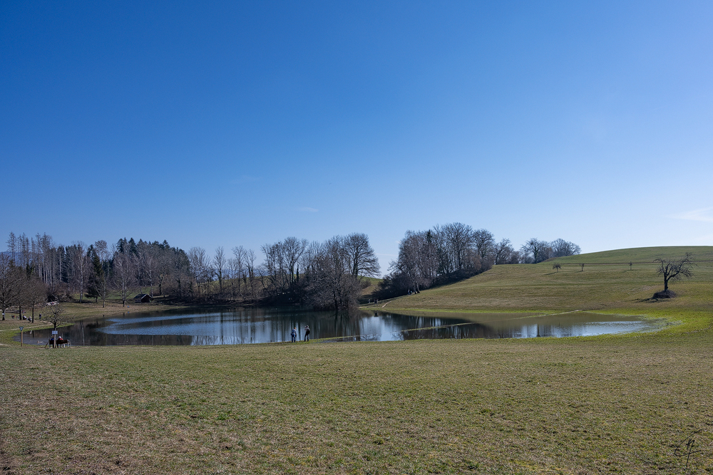 Z7H_0984.jpg